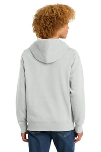 District  Perfect Weight  Fleece Hoodie DT1101 - Ash Back