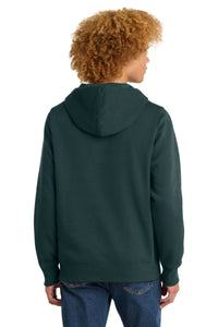 District  Perfect Weight  Fleece Hoodie DT1101 - Rainforest Back