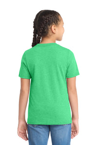 District  Youth Perfect Tri Tee - Green Frost Back