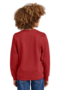 District Youth V.I.T. Fleece Crew DT6104Y - Classic Red Back