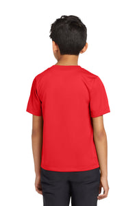 Nike Youth Team rLegend Tee DV7317 - University Red Back
